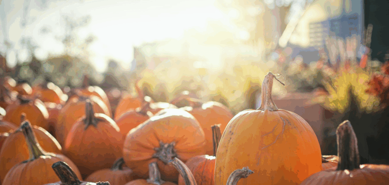 Special offers catalog: 8 products you need on your shelves this October