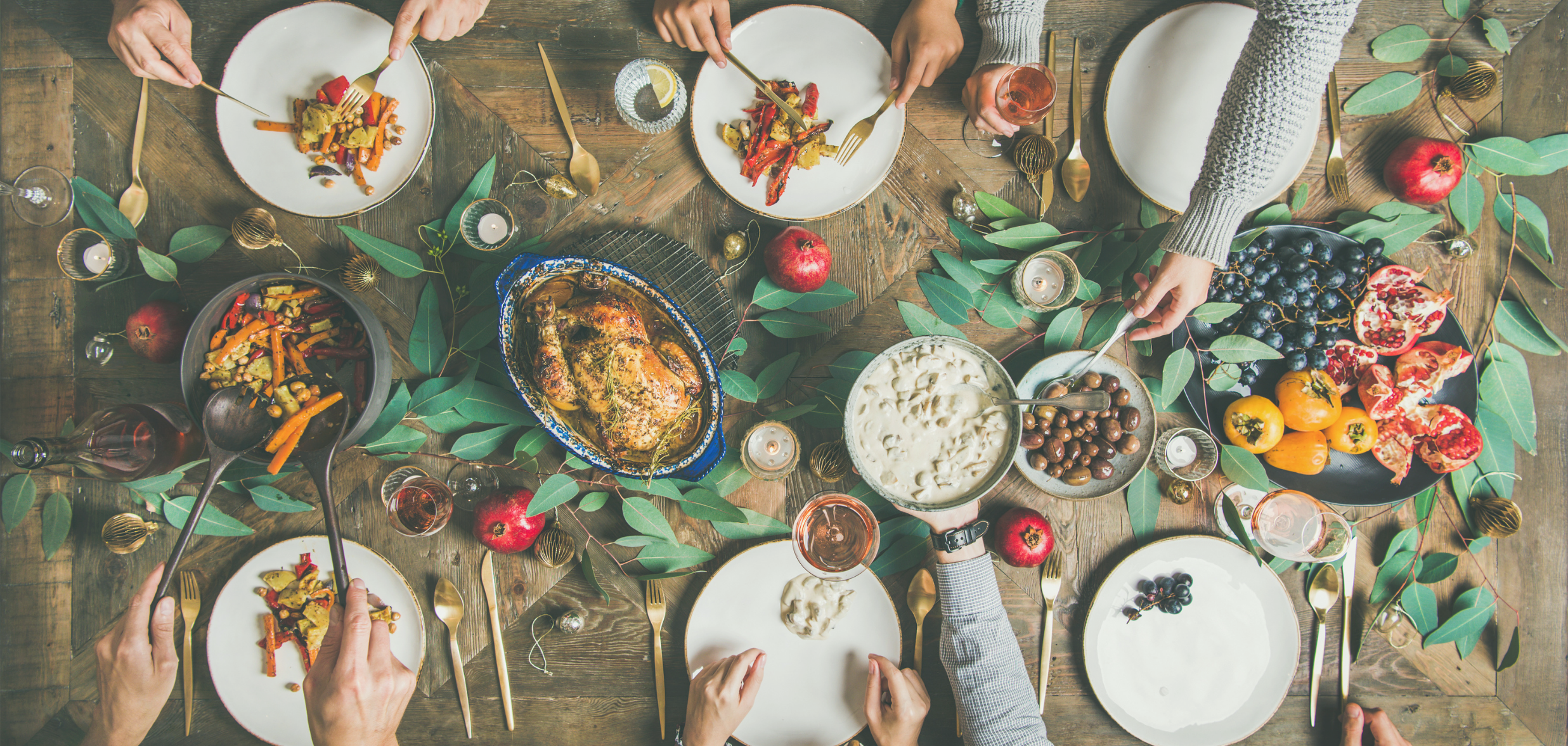 Metabolism and digestion - December categories