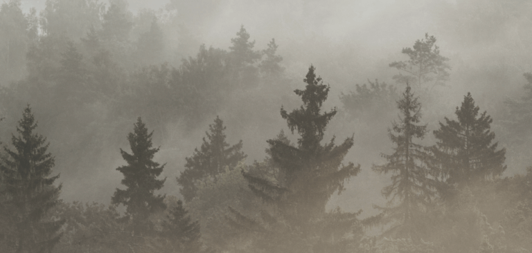 Special offers catalog: 8 products you need on your shelves this November