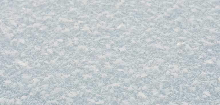 Special offers catalog: 8 products customers will reach for in first months of the year