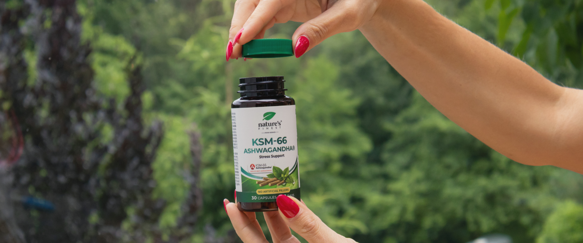 Ashwagandha capsules
